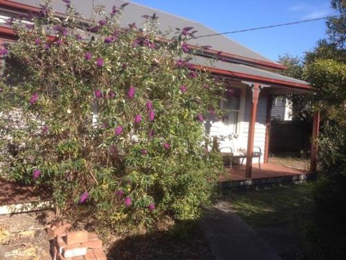 a house with a large bush with purple flowers at Hurdit in Portland