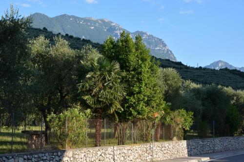 a road with a palm tree and mountains in the background at Ecohotel Primavera in Riva del Garda