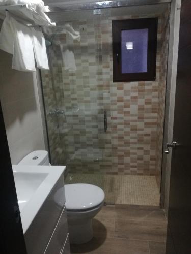 a bathroom with a toilet and a sink and a shower at Casa Javi y Carmen 2 DE in Coto Ríos