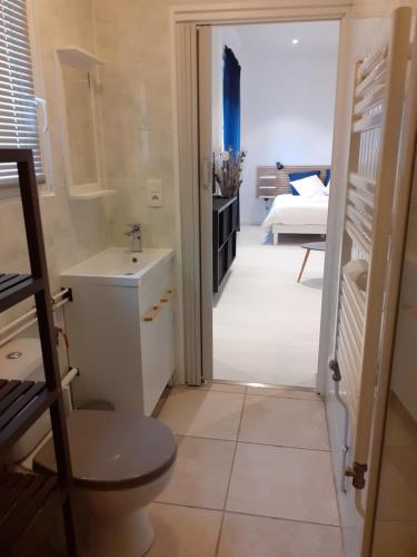 ein Bad mit einem Waschbecken und einem WC in einem Zimmer in der Unterkunft La belle étoile in Varennes-en-Argonne