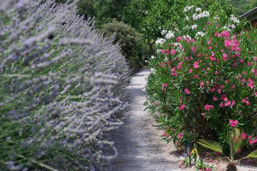 a garden with purple and pink flowers and a path at Logis Hôtel Restaurant Le Domaine de l'Eau Vive in Largentière