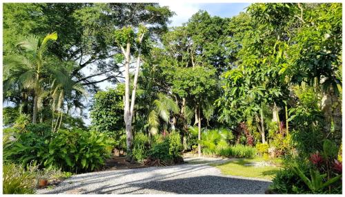 a road in a garden with trees and plants at Baan Sakuna Hotel in Chiang Khong