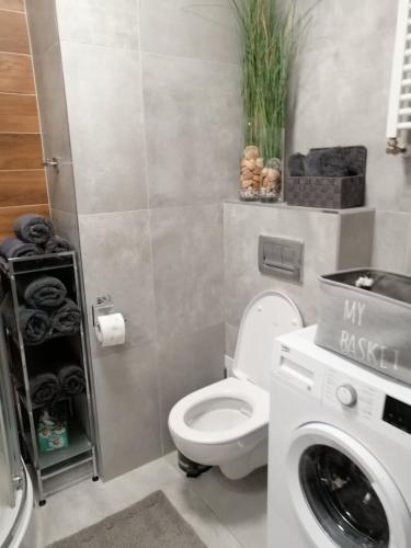 Kúpeľňa v ubytovaní Apartament Rodzinny Słoneczne Tarasy