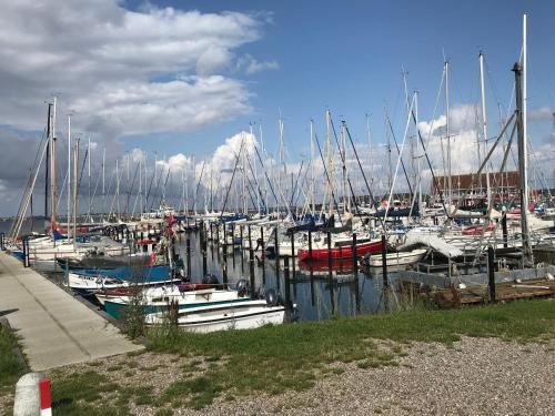 Ein paar Boote sind in einem Yachthafen angedockt. in der Unterkunft Ferienwohnung Kuschelmuschel Flensburg - Handewitt in Handewitt