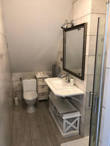 a bathroom with a sink and a toilet and a mirror at Comfort Zone Ostróda Ruś Mała in Ostróda