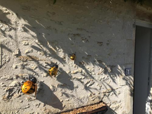 trois bouches d'incendie jaunes sur le côté d'un mur dans l'établissement Le Gîte au Coin des Abeilles, à La Caillère