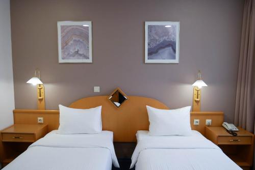 um quarto de hotel com duas camas e duas lâmpadas em TransHotel em Ecaterimburgo