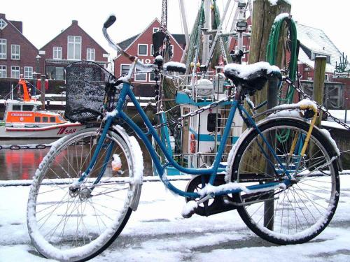 un vélo bleu garé à côté d'un quai dans la neige dans l'établissement Ferienwohnung Heimathafen, à Werdum