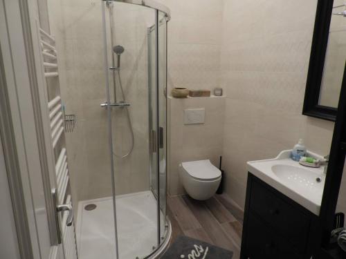 e bagno con doccia, servizi igienici e lavandino. di Gizella apartman a Budapest