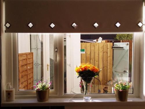 une fenêtre avec trois fleurs dans un vase sur un comptoir dans l'établissement Castle Hill Cottage & Paddlers Retreat, à Ballywalter