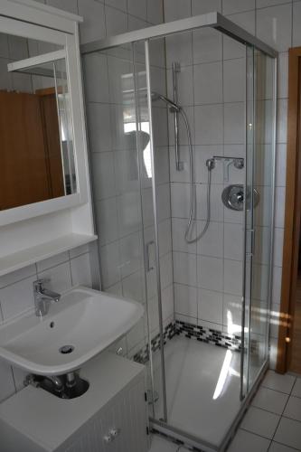 La salle de bains est pourvue d'une douche et d'un lavabo. dans l'établissement Fewo I Schloßborn, à Glashütten