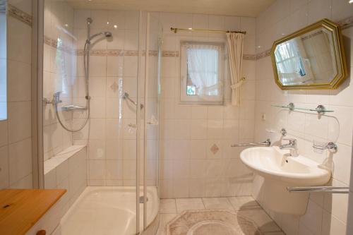 a bathroom with a shower and a sink and a toilet at Schwallenberg 2 in Adenau