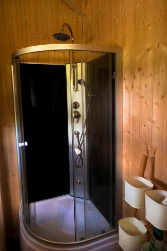 a shower with a glass door in a bathroom at Grzybek Maison champignon in Kętrzyn