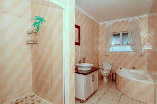 Un baño con ducha, lavabo e inodoro. en Addis Bed and Breakfast, en Durban