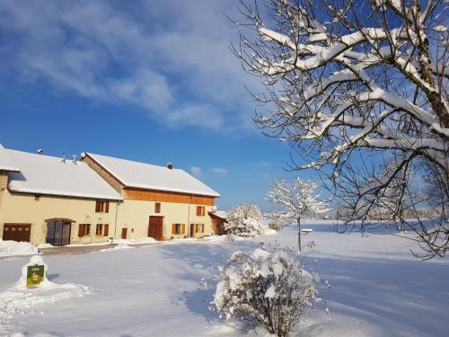 a house covered in snow with a tree at Grimont gîte au calme grand terrain circuit cascades du Hérisson in Saugeot