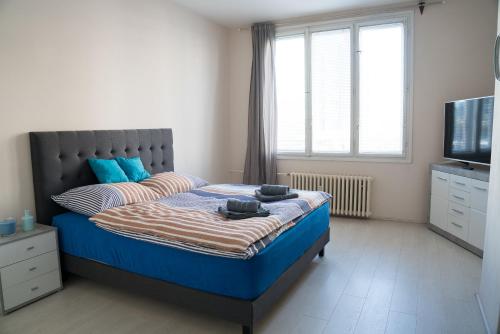 a bedroom with a bed and a television in it at Apartment Třída Míru in Pardubice