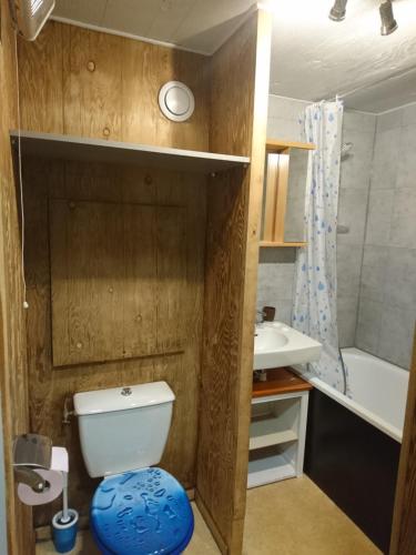 ein kleines Badezimmer mit Toilette und Waschbecken in der Unterkunft Studio au pied des pistes- Le Praz de Lys in Taninges