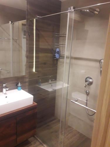 a bathroom with a shower and a sink at Kamena Kuca Lux Apartment in Kopaonik