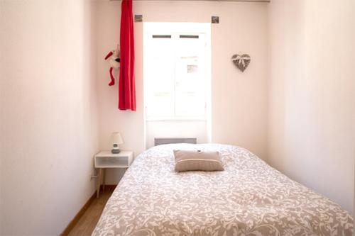 Appartement 1 Chambre - Vert
