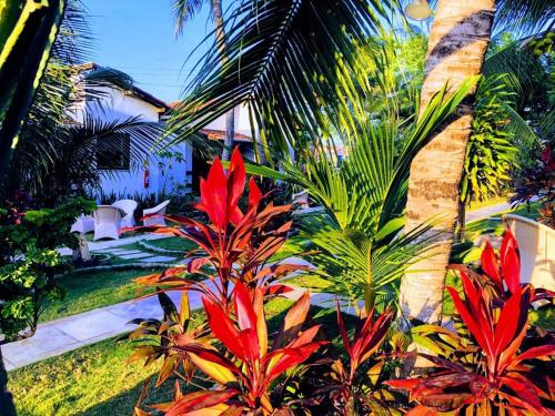 a garden with palm trees and red plants at Hotel e Pousada La Dolce Vita in Canoa Quebrada