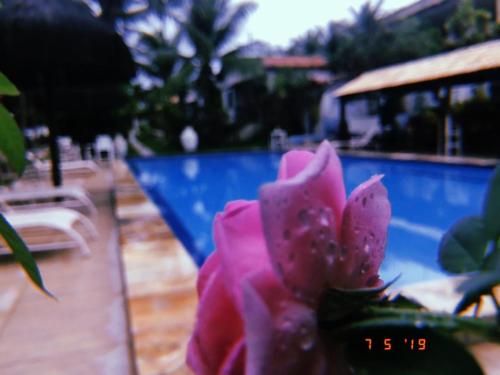 a pink flower in front of a swimming pool at Hotel e Pousada La Dolce Vita in Canoa Quebrada