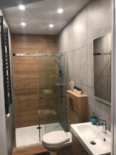 een badkamer met een douche, een toilet en een wastafel bij Apartament Starówka in Zielona Góra