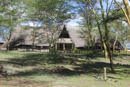 Gallery image of Oasis Eco Camp in Gilgil