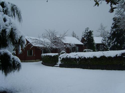 a house covered in snow with trees and bushes at Forest Peak Motel in Hanmer Springs