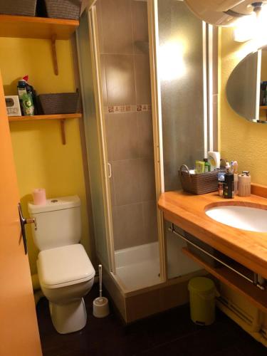 フォン・ロムー・オデイヨ・ヴィアにあるLes Cabrisのバスルーム(シャワー、トイレ、シンク付)