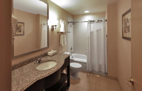 a bathroom with a sink and a toilet and a shower at Holiday Inn Express Baltimore-Downtown, an IHG Hotel in Baltimore