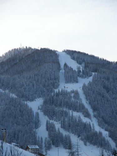 a snow covered mountain with trees on it at Résidence - Gite La Mourée in Vars