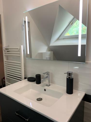 a bathroom with a sink and a mirror at Domaine des cossères in Neuvy-Saint-Sépulchre