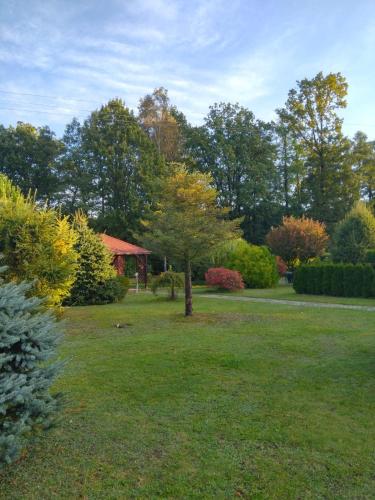 a garden with a tree in the middle of a yard at Penzion Kosky in Hamr