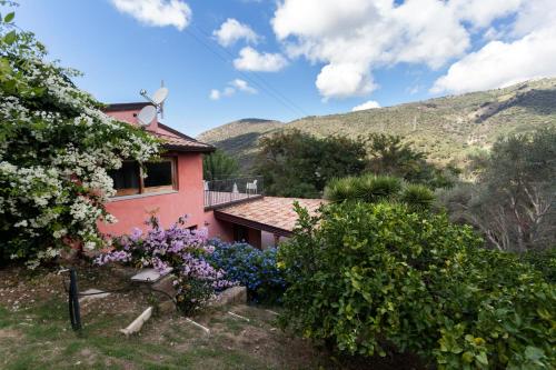 Общий вид на горы или вид на горы из of country house