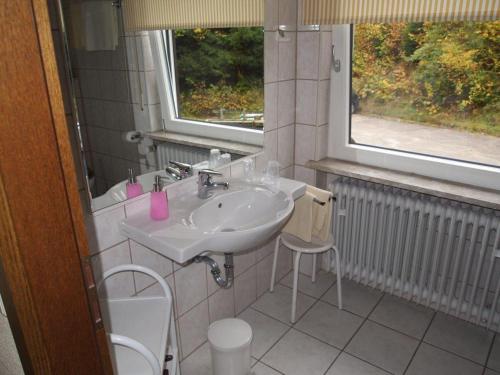 La salle de bains est pourvue d'un lavabo et d'une fenêtre. dans l'établissement Hotel Kupper, à Eppenbrunn