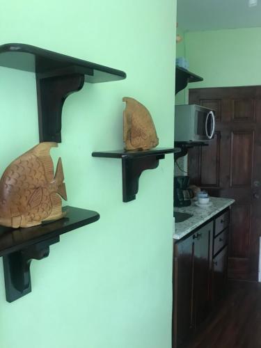 a kitchen with two shelves on the wall at Raine’s studio and more in Kingston