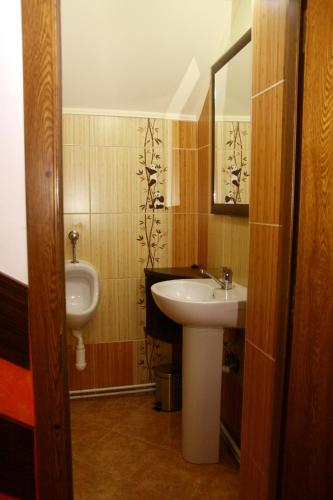 a bathroom with a sink and a urinal at Casa Agnes Vendeghaz in Fîntînele