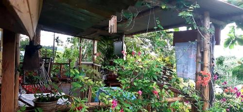 a porch with lots of plants and flowers at Cabañas Maikü Selva in Puerto Nariño