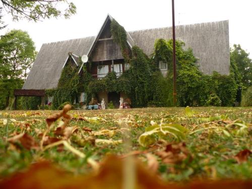a house covered in ivy in front of a yard at Upmaļi in Tērvete