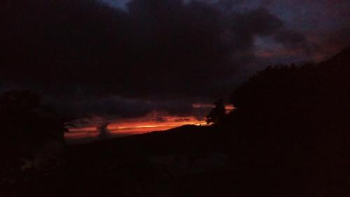 a group of people walking on a beach at night at Casa Morella in Monteverde Costa Rica