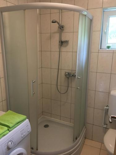 a shower with a glass door in a bathroom at Apartment Green in Sarajevo