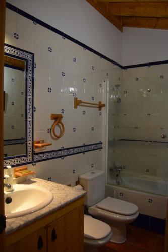 ein Badezimmer mit einem Waschbecken, einem WC und einem Spiegel in der Unterkunft Casa Rural Abuelo Adón in Baterna
