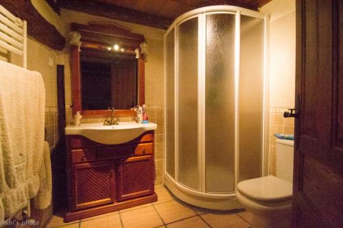 a bathroom with a shower and a sink and a toilet at La Casita de Leire in Tamajón