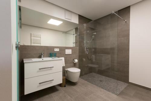 a bathroom with a shower and a toilet and a sink at Boardinghouse E68 in Schliengen