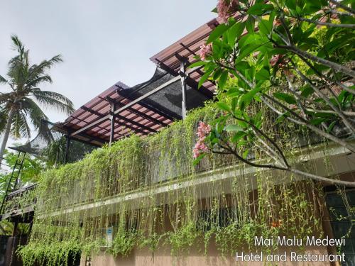 a building with ivy on the side of it at Mai Malu in Pulukan
