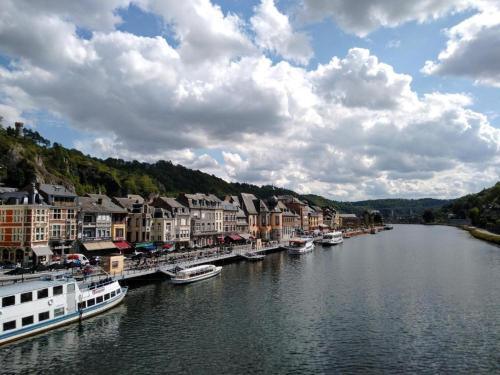 a river with boats in a town with houses at Le Cerf Vert in Dinant