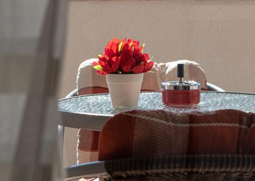 Apartments Cvita