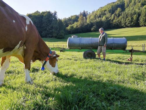 a man standing in a field with a cow eating grass at Almbauernhof in Ruhpolding