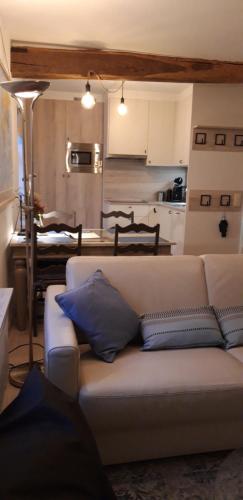 ein Wohnzimmer mit einem Sofa und einer Küche in der Unterkunft Charta Appartement in Kortenberg