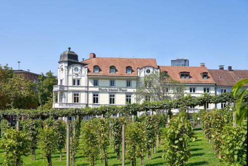 un bâtiment derrière un vignoble avec un bouquet de raisins dans l'établissement Park Hotel Post, à Fribourg-en-Brisgau